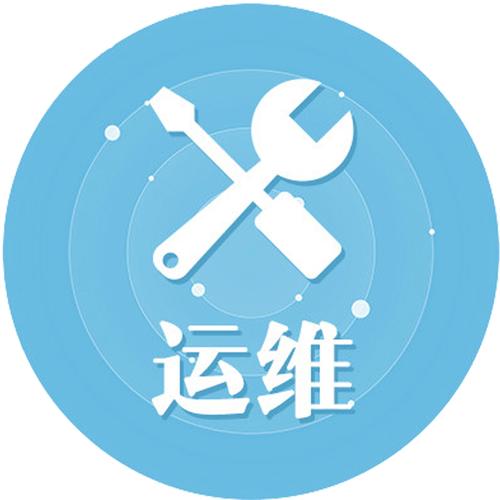 IT駐場服務(wù) 全球500強(qiáng)企業(yè)的嵌入式技術(shù)支持與創(chuàng)新驅(qū)動(dòng)